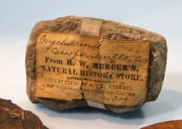 Sale Image for Annual January New Year Antique Auction