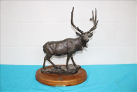 Sale Image for Moving Auction