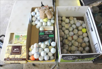 Sale Image for Real Estate & Contents