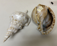 Sale Image for 6th Estates Merchandise Online Auction 2023