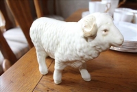 Sale Image for Large Public Auction