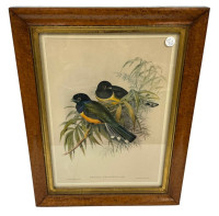 Sale Image for New Year Part 2 Auction 2026