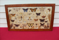 Sale Image for Real Estate &amp; Contents