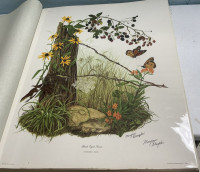 Sale Image for February Online Auction 2026