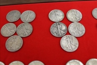 Sale Image for Large Public Auction