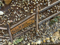 Sale Image for July Online Auction