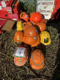 Sale Image for Native Tree Service, Inc. &amp; Native Landscape Service, Inc.