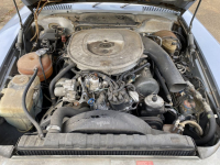 Sale Image for Second November Online 2021