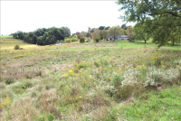 Sale Image for Real Estate Auction