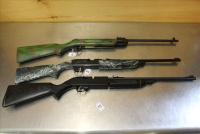 Sale Image for Large Public Auction - Live &amp; In Person