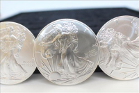 Sale Image for Large Public Auction