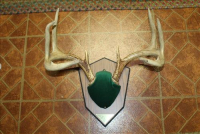 Sale Image for Real Estate & Contents