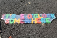 Sale Image for Spectacular Large Public Auction