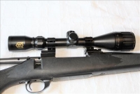 Sale Image for Moving Auction