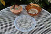 Sale Image for Moving Auction
