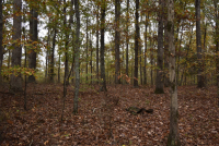 Sale Image for Wilkin Estate Personal Prop. -Absentee Bidding