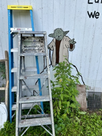 Sale Image for Country Estate Sale