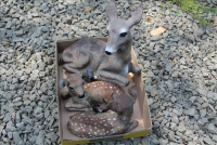 Sale Image for Real Estate And Contents