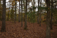 Sale Image for Wilkin Estate Personal Prop. -Absentee Bidding