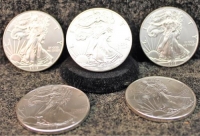 Sale Image for Large Public Auction