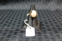 Sale Image for Estate Auction - Harrisville, PA