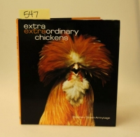 Sale Image for 1st Edition And Signed Book Auction