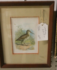 Sale Image for Super Antique Auction Online