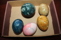 Sale Image for Estate Auction