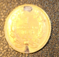 Sale Image for Moving Auction