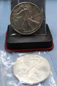 Sale Image for Large Public Auction