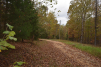 Sale Image for Wilkin Estate Personal Prop. -Absentee Bidding