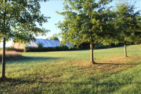 Sale Image for Estate Auction Real Estate & Contents