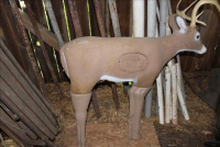 Sale Image for Moving Auction