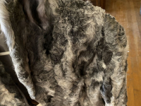 Sale Image for Morton Online Only Auction 2021