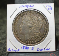 Sale Image for Large Public Auction