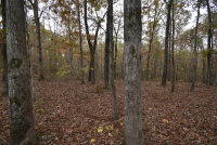 Sale Image for Wilkin Estate Personal Prop. -Absentee Bidding