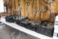 Sale Image for Large Public Auction