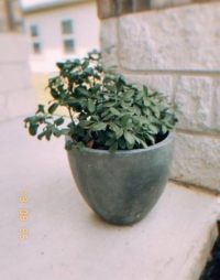 Sale Image for Moving/Estate Sale