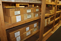 Sale Image for Jameson's Candy Store Liquidation Auction