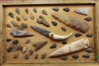 Sale Image for Large Public Auction