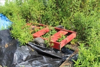 Sale Image for Primitives, Antiques, Collectibles & Tool Auction