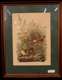 Sale Image for Five Estates Auction