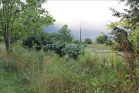 Sale Image for Real Estate Auction