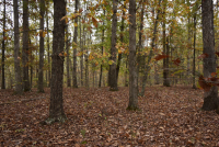 Sale Image for Wilkin Estate Personal Prop. -Absentee Bidding