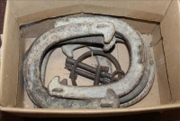 Sale Image for Large Public Auction