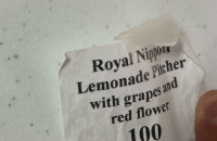 Sale Image for 2nd December Online 2024