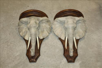 Sale Image for Large Public Auction