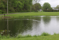 Sale Image for Real Estate & Contents