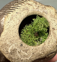 Sale Image for 2nd January Online Auction 2024