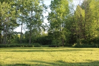 Sale Image for Real Estate & Contents Auction - Buckley Estate